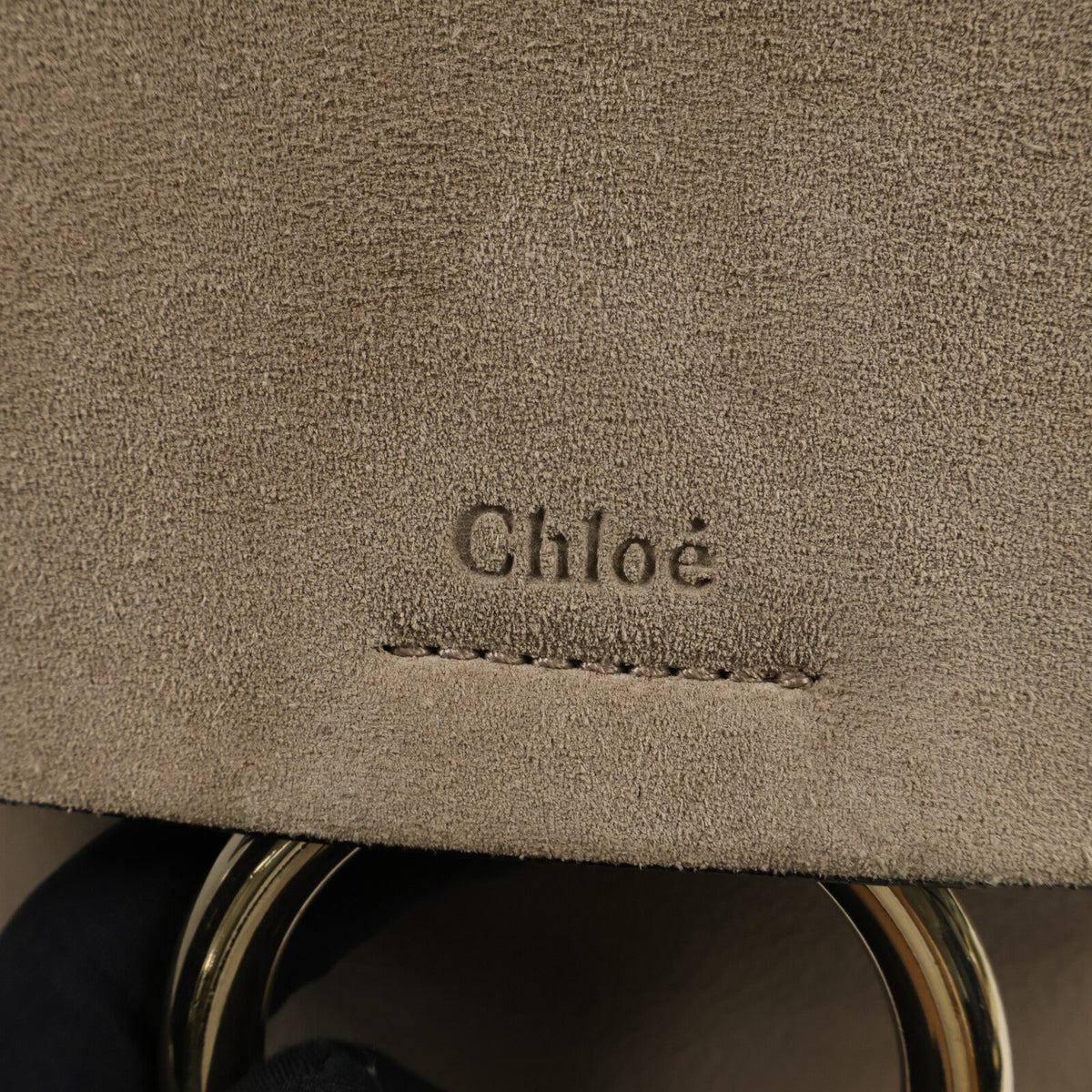 Chloé Faye · Suede & Calfskin Backpack
