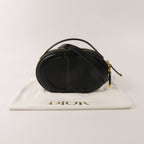 Dior CD Signature Oval Camera · Calfskin