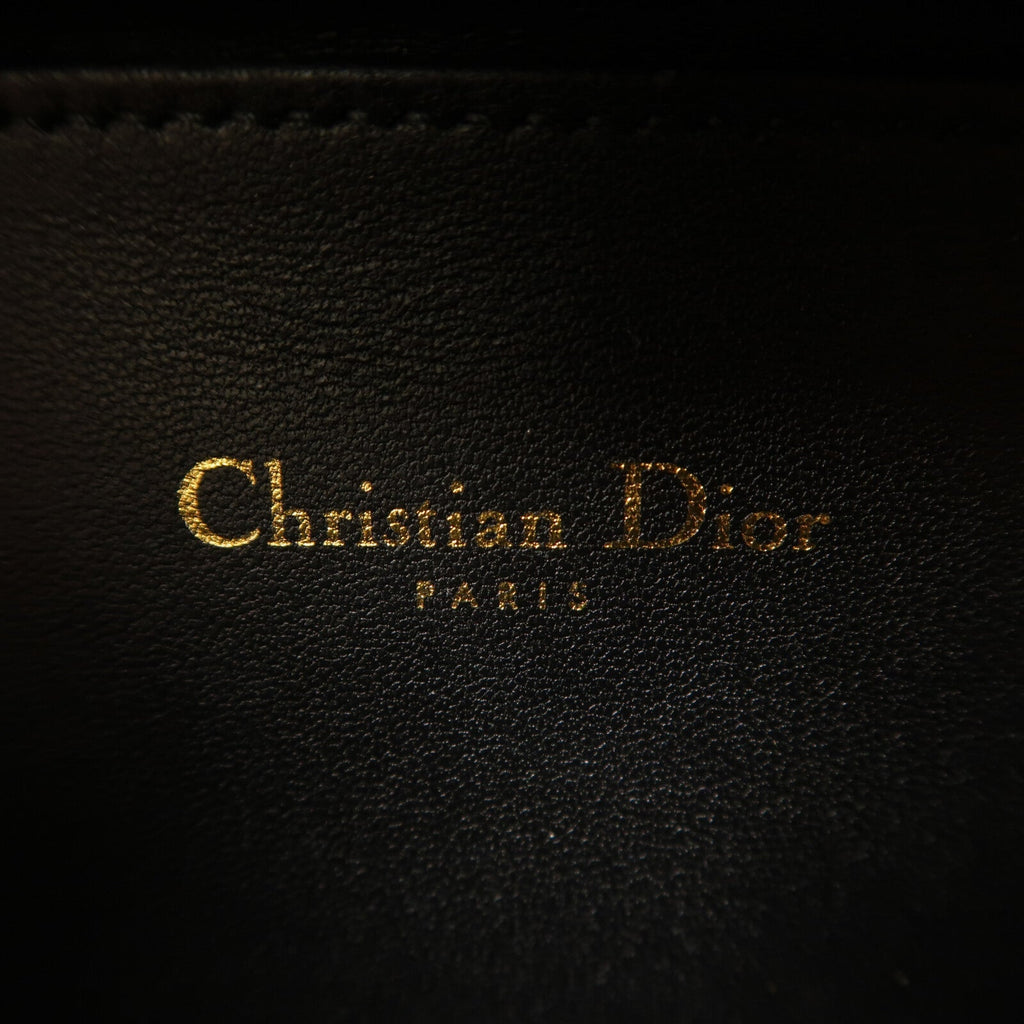 Dior CD Signature Oval Camera · Calfskin