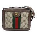 Gucci Ophidia GG Mini