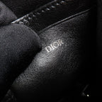 Dior · Canvas Camera Bag
