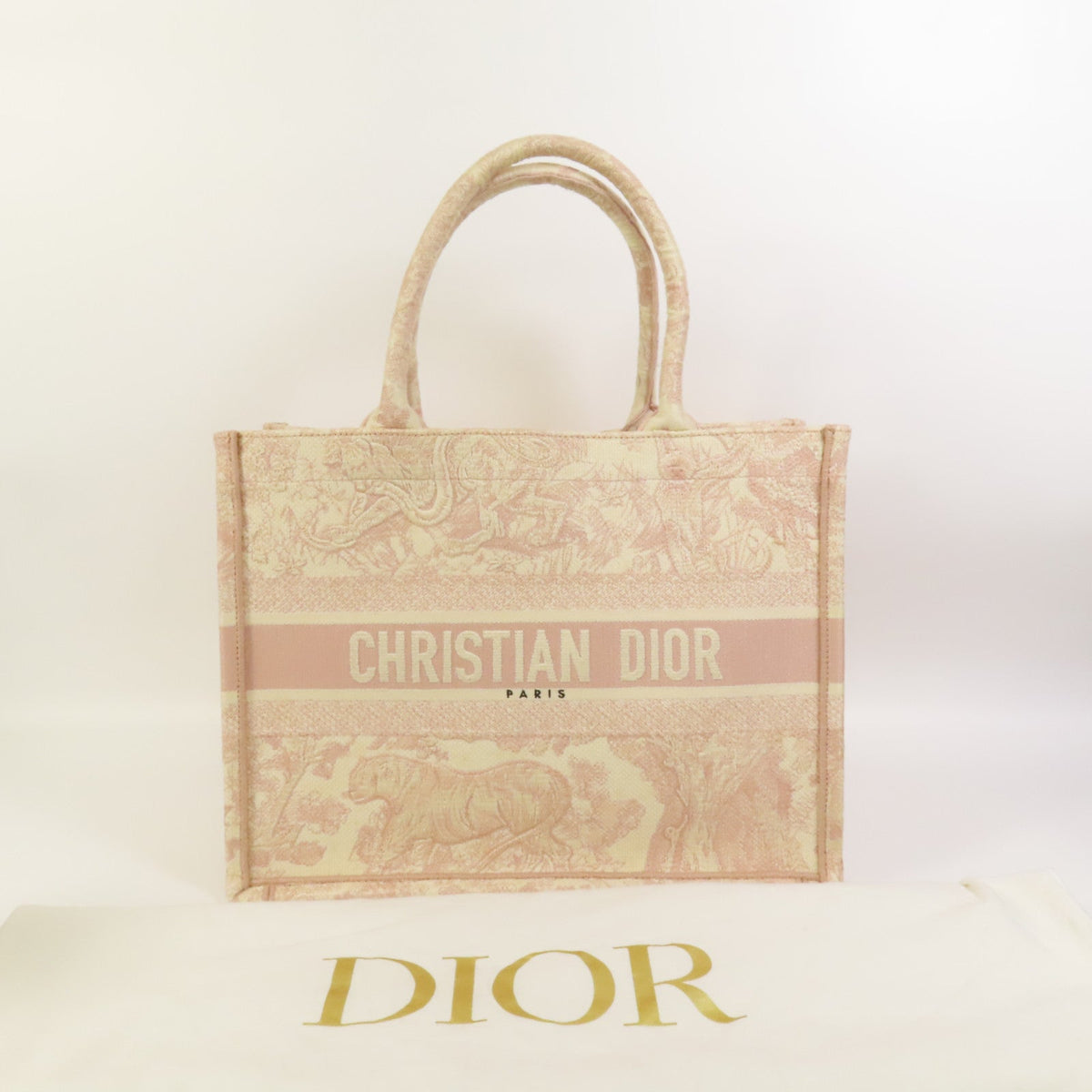 Dior Book Tote · Medium · Canvas