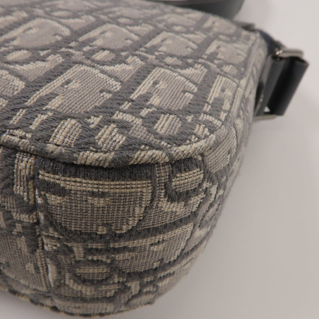 Dior Saddle Messenger · Oblique Canvas
