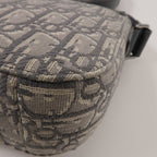 Dior Saddle Messenger · Oblique Canvas