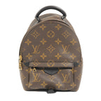 Louis Vuitton Palm Springs Mini · Monogram