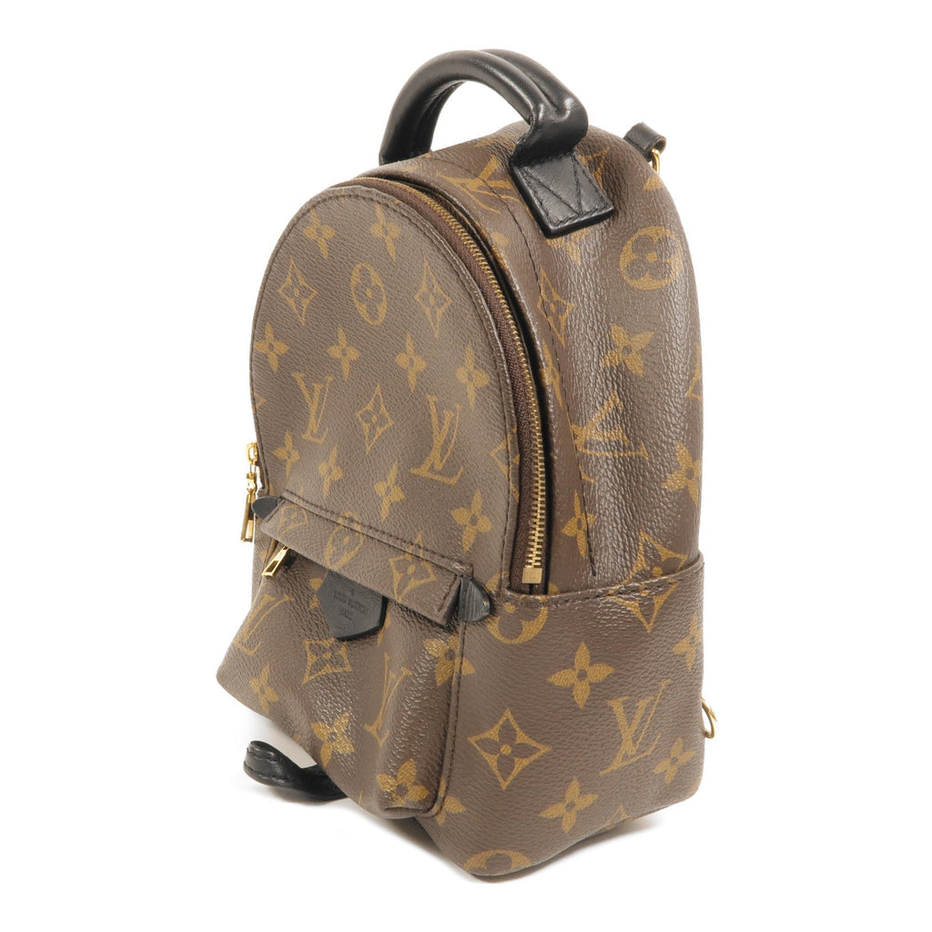 Louis Vuitton Palm Springs Mini · Monogram