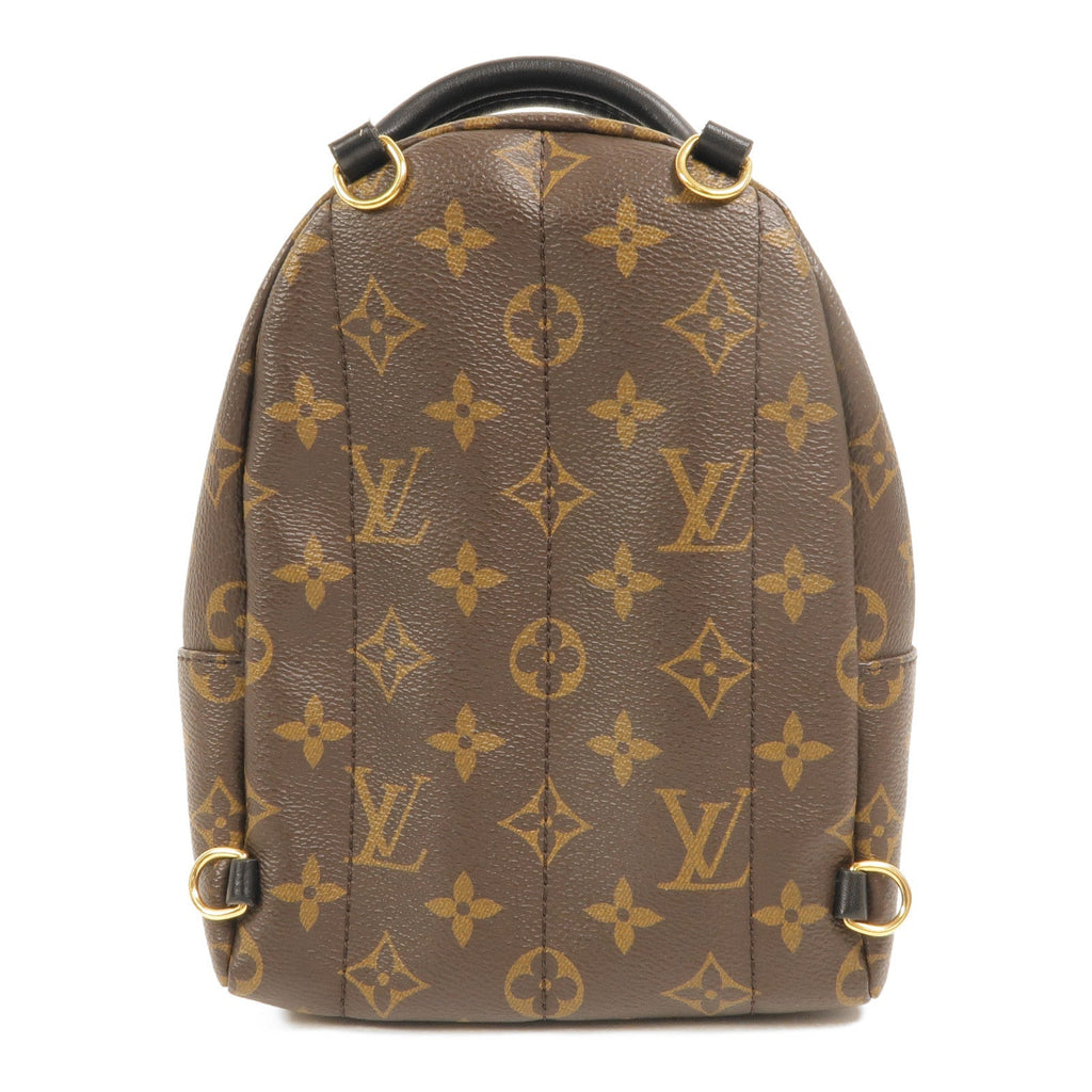 Louis Vuitton Palm Springs Mini · Monogram