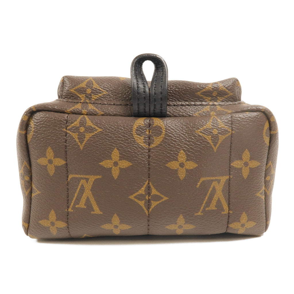 Louis Vuitton Palm Springs Mini · Monogram
