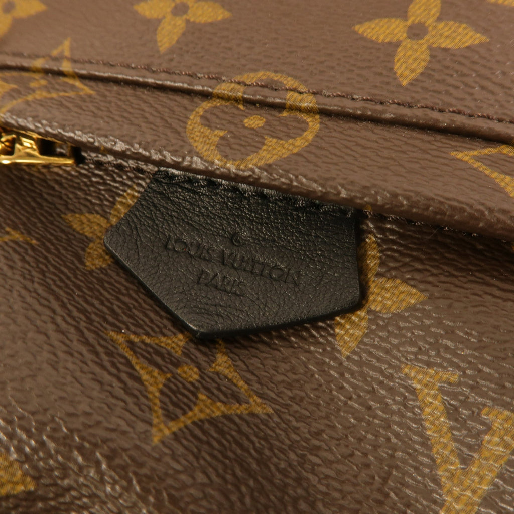 Louis Vuitton Palm Springs Mini · Monogram