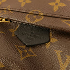 Louis Vuitton Palm Springs Mini · Monogram