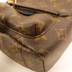 Louis Vuitton Palm Springs Mini · Monogram