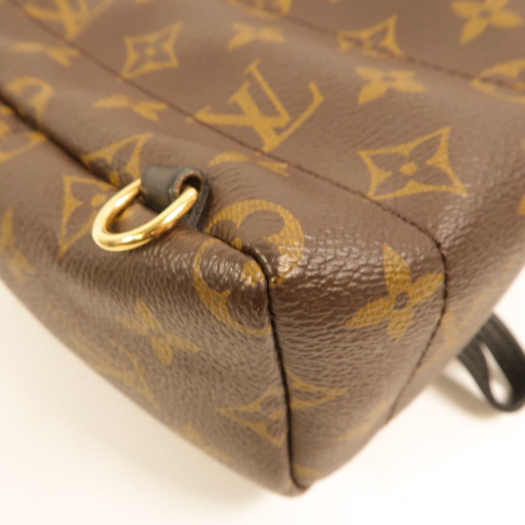 Louis Vuitton Palm Springs Mini · Monogram