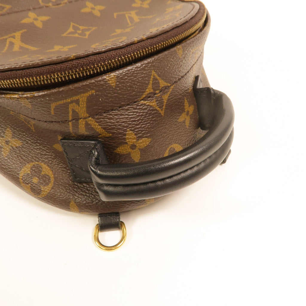 Louis Vuitton Palm Springs Mini · Monogram