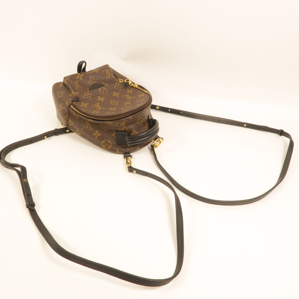 Louis Vuitton Palm Springs Mini · Monogram