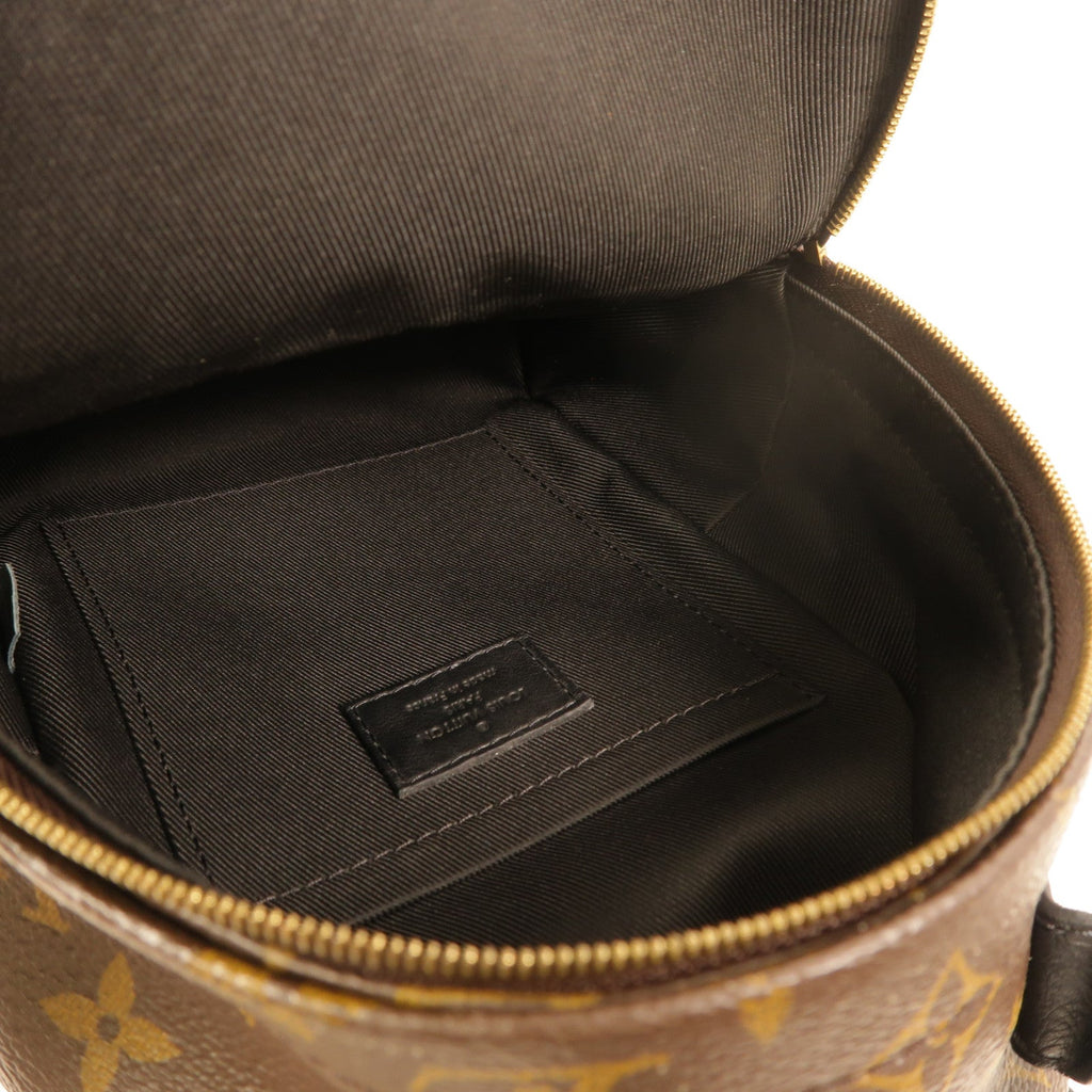 Louis Vuitton Palm Springs Mini · Monogram