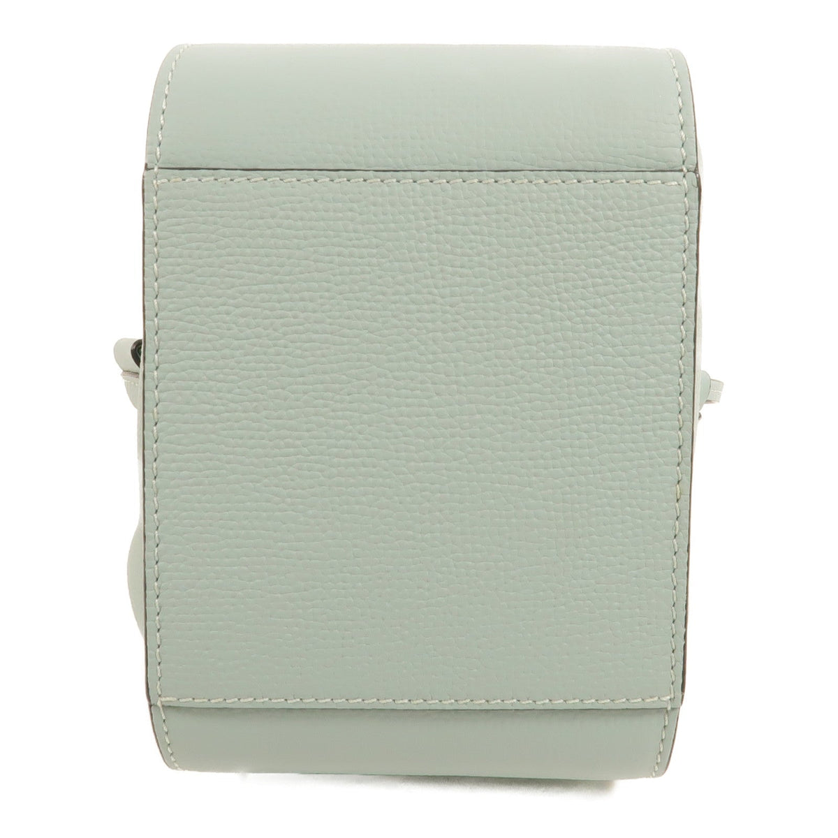 Loewe Hammock Mini · Calfskin