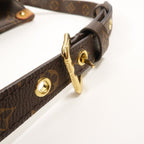 Louis Vuitton Sac Plat BB · Monogram