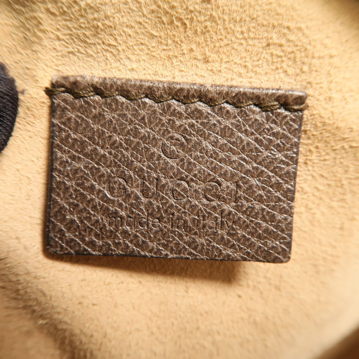 Gucci Ophidia · GG Supreme Canvas