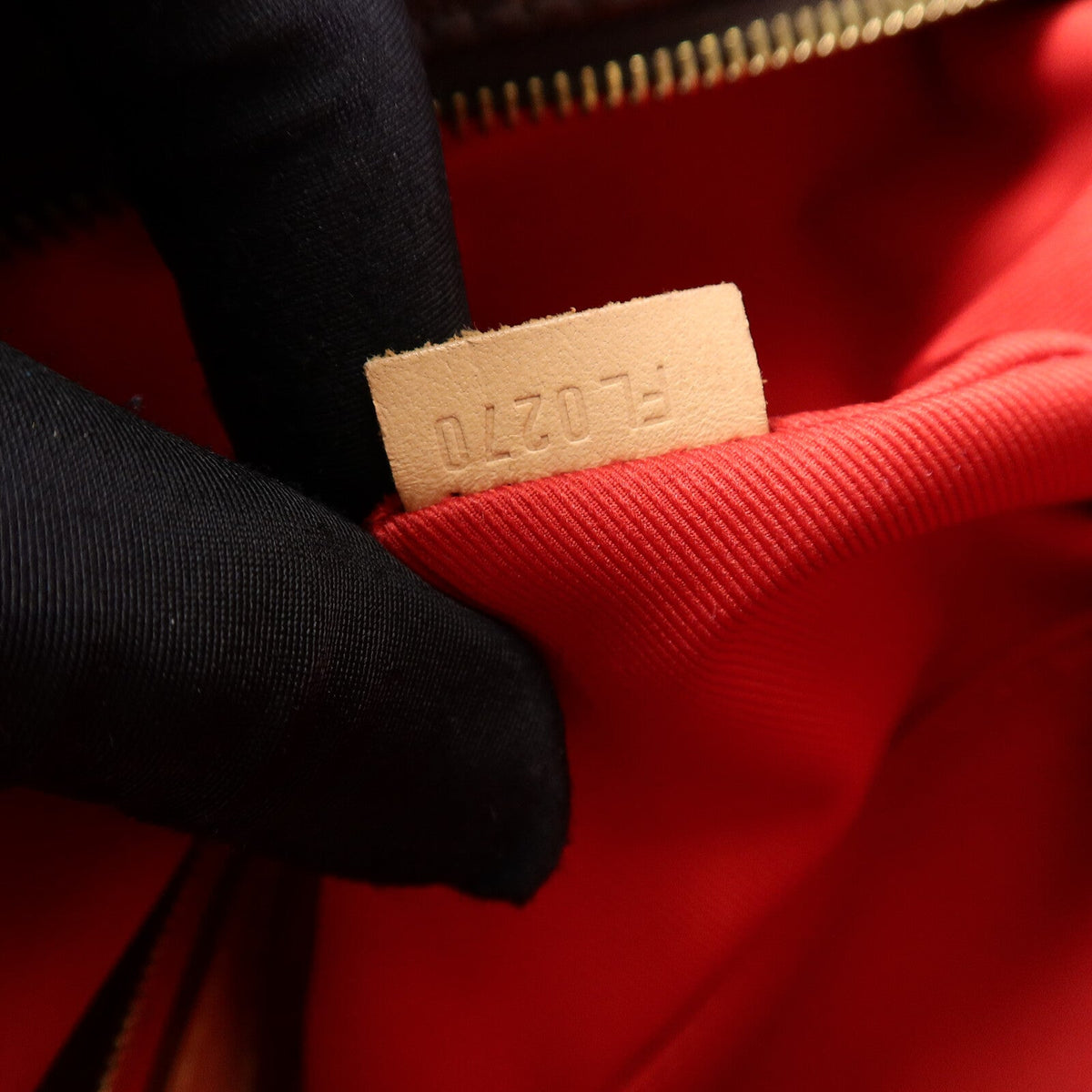 Louis Vuitton Carry It · Monogram