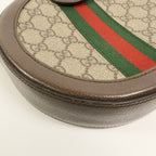 Gucci Ophidia Chain · GG Supreme Canvas