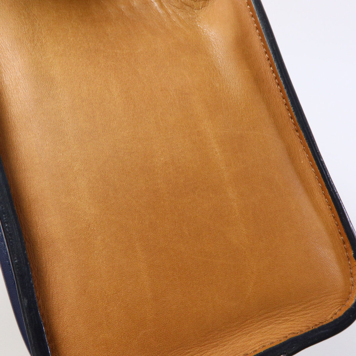 CELINE Nano Luggage · Calfskin