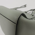 Loewe Hammock Mini · Calfskin
