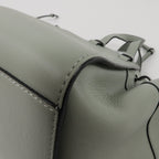 Loewe Hammock Mini · Calfskin
