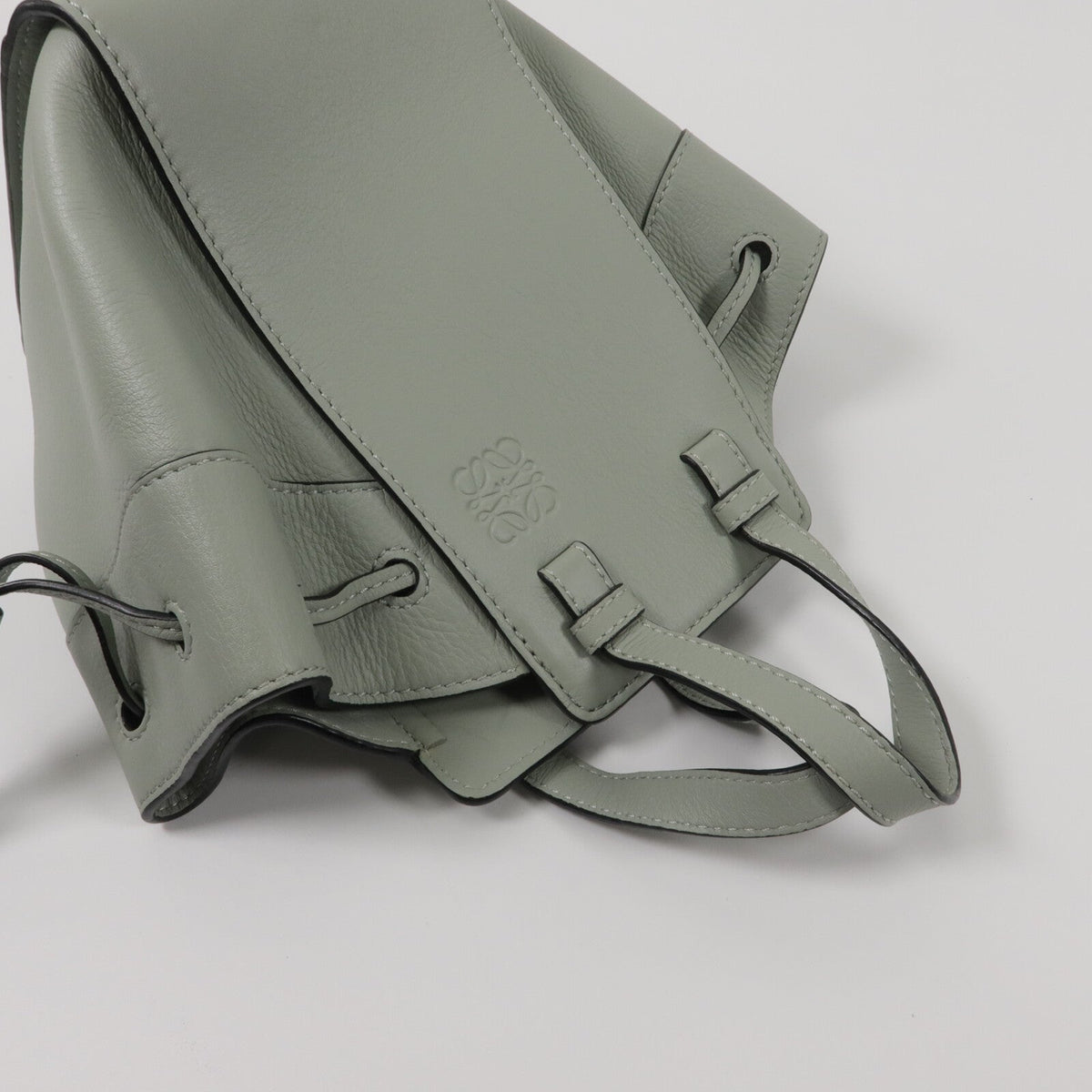 Loewe Hammock Mini · Calfskin