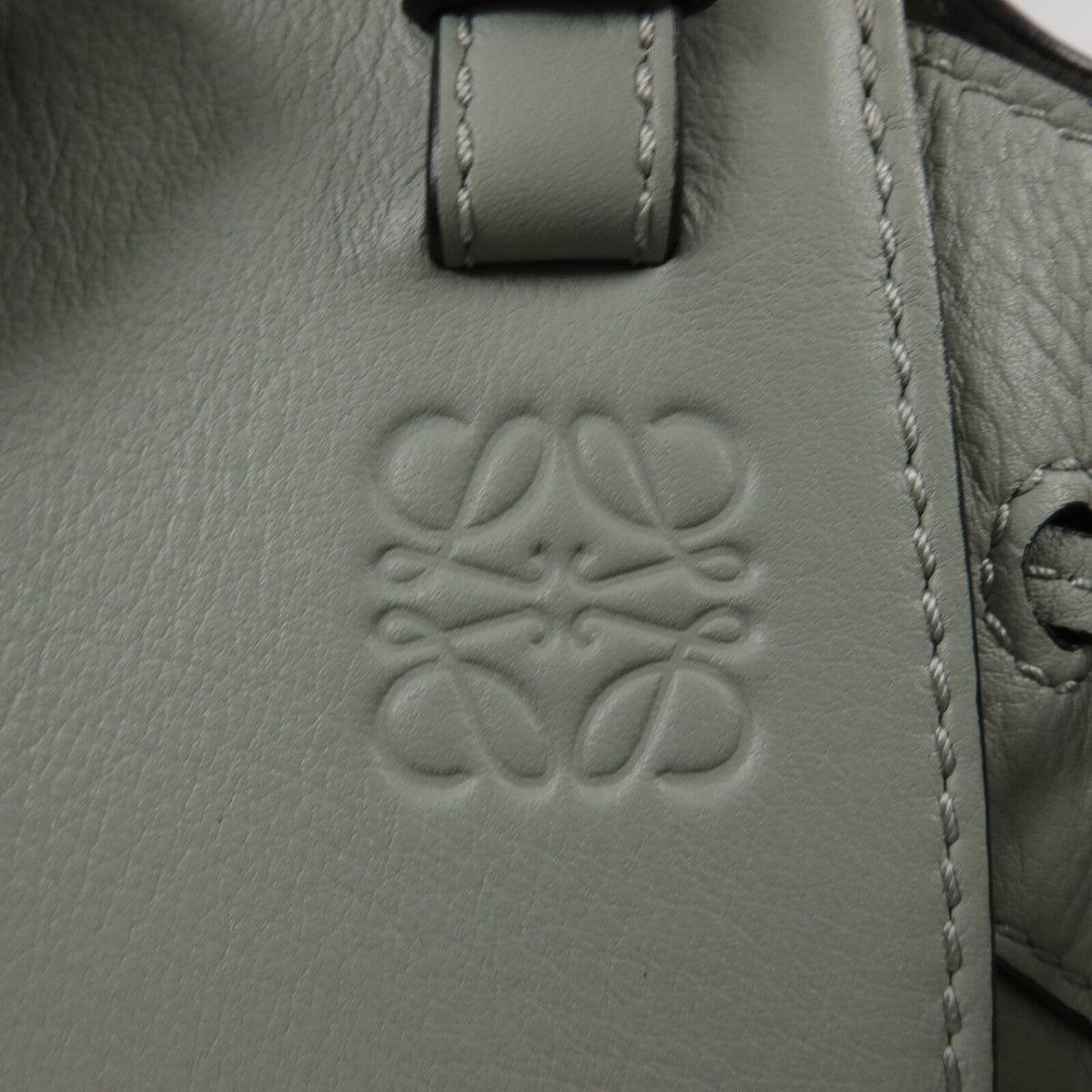 Loewe Hammock Mini · Calfskin