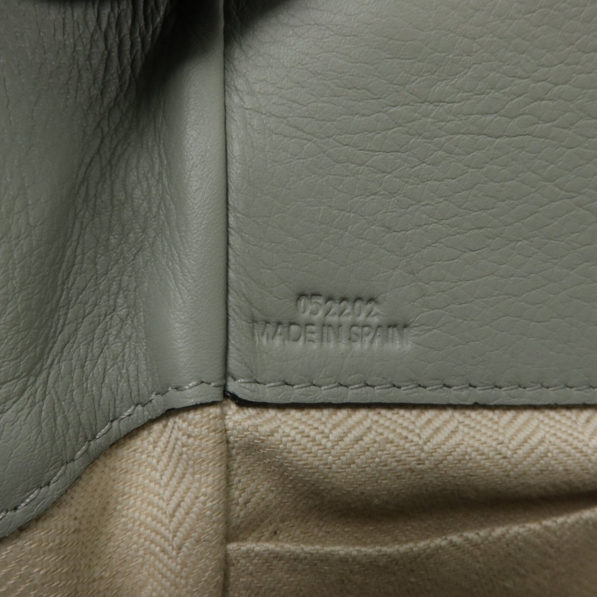 Loewe Hammock Mini · Calfskin