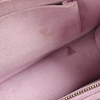 Dior Diorama · Metallic Calfskin