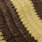 Fendi Nano Fendigraphy · Raffia