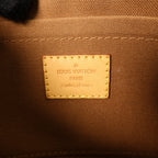 Louis Vuitton Multi Pochette Accessoires