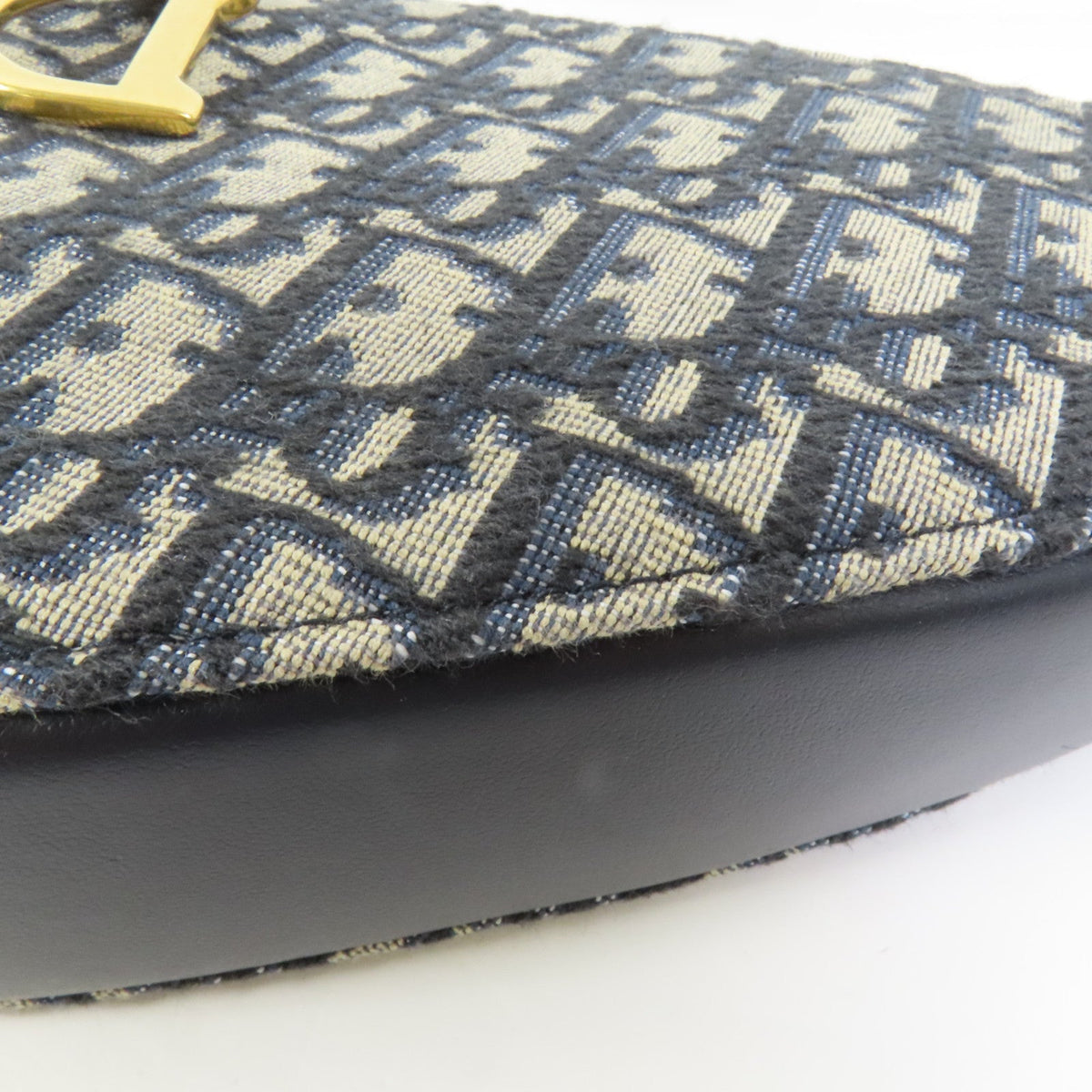 Dior Saddle Rodeo · Canvas Shoulder Bag