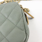 Chanel Classic Clutch with Chain · Calfskin