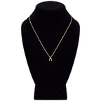 Horse Shoe Cubic Zirconia Pendant With Necklace Set 14K Gold Filled