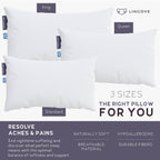 Dream Bamboo Pillow - Set of 2