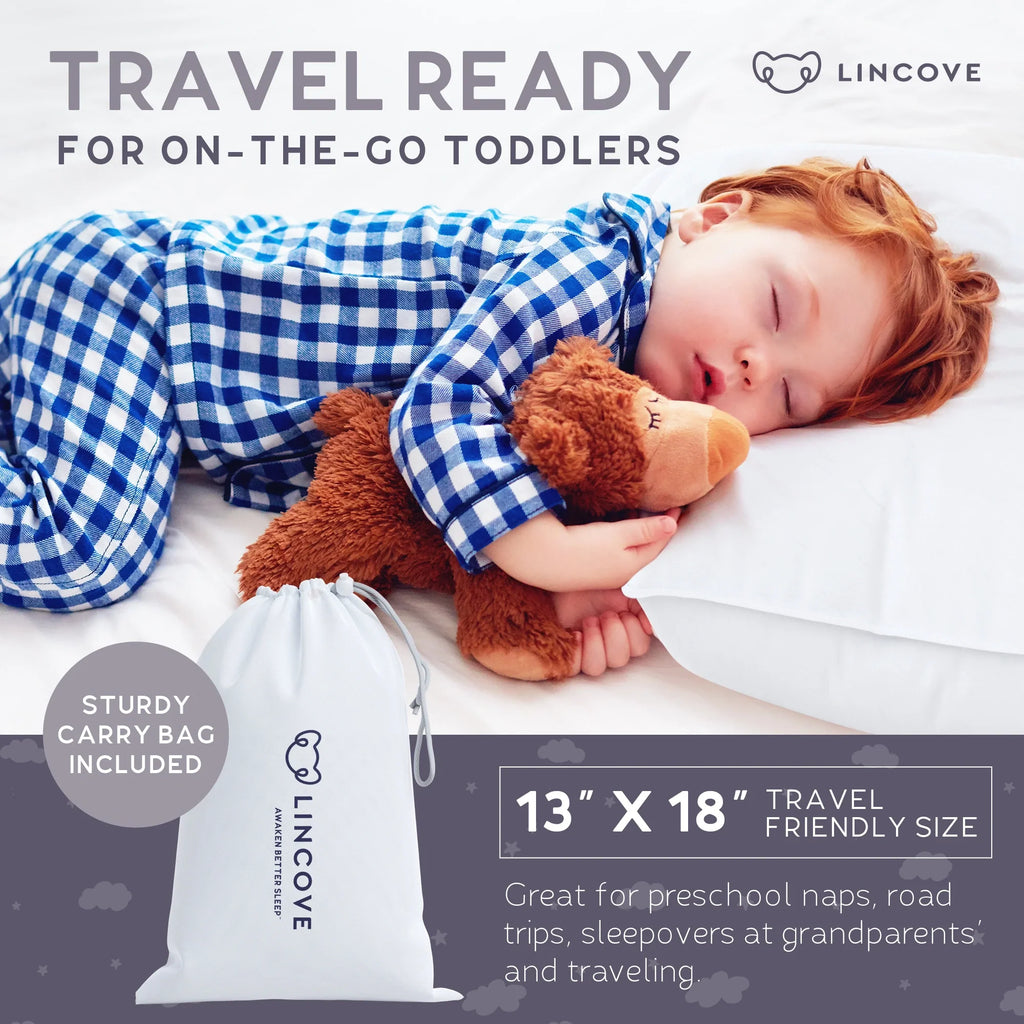 Down And Feather Toddler Pillow - Set