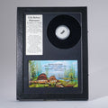 Permian Cave Fossil (Life Before Dinosaur) in Display Box
