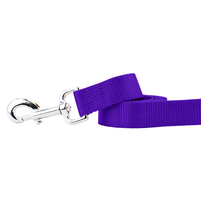 Purple Nylon Dog Leash