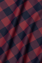 Long Sleeve Button Down Polo Gingham // Red Blue