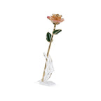 Timeless Rose (Light Pink)