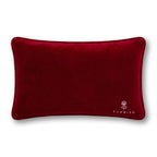 Mentally Stable Needlepoint Pillow