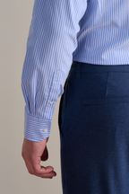 Leader Non-Iron Stripe // Mini Blue