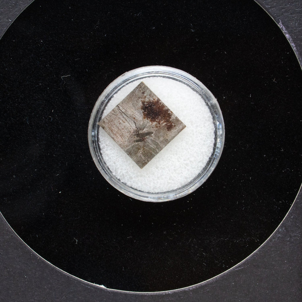 Genuine Muonionalusta Meteorite in Glass Display Box