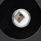 Genuine Muonionalusta Meteorite in Glass Display Box
