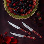 Custom Red 4 Piece Steak Knife Set