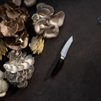 Kawashima Paring Knife - 3.5"
