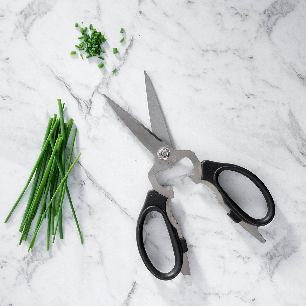 Take-Apart Kitchen Shears - 8"