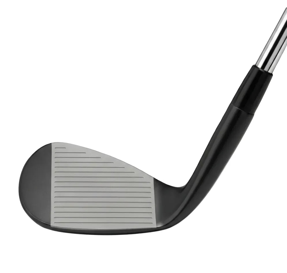 Mizuno Pro T-1 Wedge Black Ion